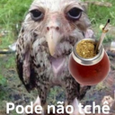 KtsuoBotafofo