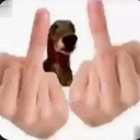 NatannaelX