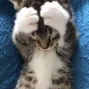 Benja