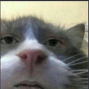 cxqp