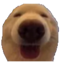 Compre_Agora