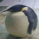 taldobolinha