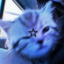 STAFF