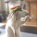 lnsanityyhg