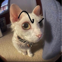 meoowwq