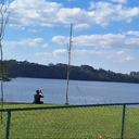 Contiaraujo_