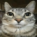 jzao