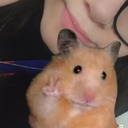 apenaslala