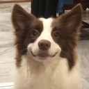 viniciusclicou