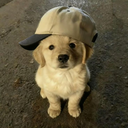 dudabobona