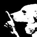 y_5