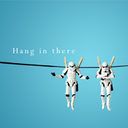 Duartees6v