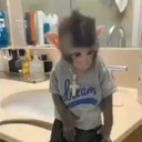 NinjaVoigt