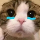 Vinny2M